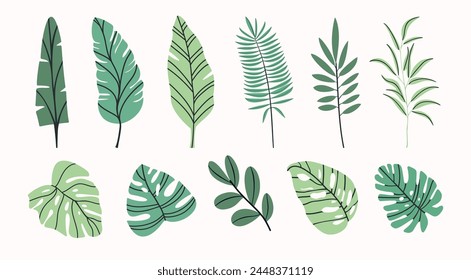 vector tropical design with monstera palm leaves on white background. Exotic Hawaiian fabric design.