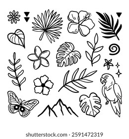 Vector tropical doodles. Exotic plants and parrot. Summer doodles