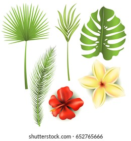 Vector tropical exotic leaves, realistic jungle leaves set isolated on white background. Palm leaf and exotic flowers collection.