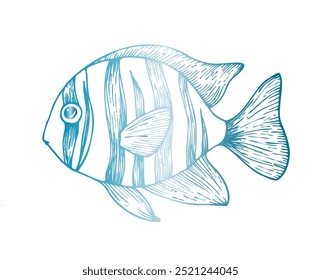 Vector de peces tropicales. Línea pintada a mano arrecife exótico. Arte gráfico del Clip tropical aislado en el fondo. Ilustración submarina. Para diseñadores, invitaciones, decoración, postales, papel de regalo, chatarra