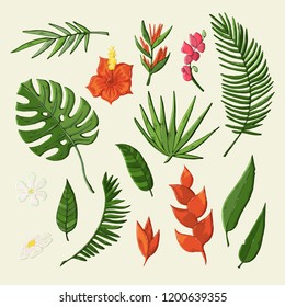 Vector tropical flovers and leaves set,collection isolated on a beige background.Exotic plant