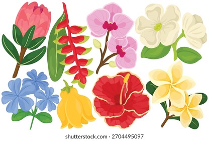 Vektor Tropische Blumen Clip Art Set Botanische Blüte Protea Orchidee Hibiscus Plumeria Illustration einzeln auf weißem Hintergrund Grafik Natur Garten Exotisch