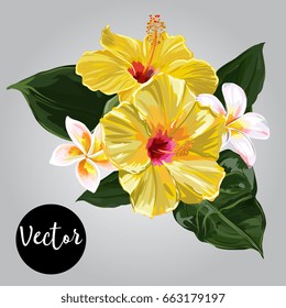 Vector Tropical Flowers Illustration
