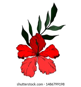 Vector Tropical flowers and leaves isolated. Exotic tropical hawaiian summer. Palm beach tree leaves jungle botanical. Black and white engraved ink art. Isolated plant illustration element.