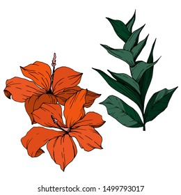 Vector Tropical flowers and leaves isolated. Exotic tropical hawaiian summer. Palm beach tree leaves jungle botanical. Black and white engraved ink art. Isolated plant illustration element.