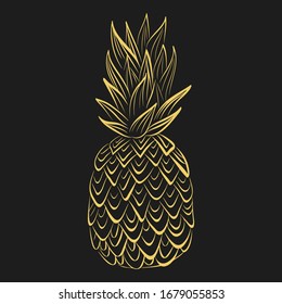 Vector tropical food illustration. Gold pineapple on black background. Summer fruit