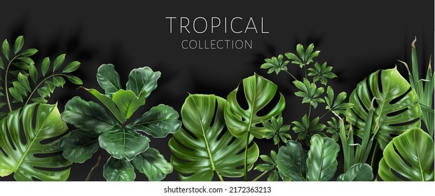 Marco tropical vectorial con hojas verdes sobre fondo negro. Diseño botánico exótico de lujo para cosméticos, invitación a la boda, banner de verano, spa, perfume, belleza, viajes, diseño de embalaje