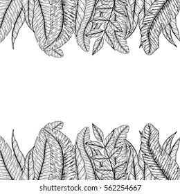 Vector tropical frame with tropical  leaf, palm. Hand drawn vector illustration. Stock vector.
