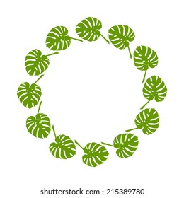 Vector tropical frame with monstera leaves .Summer frame with tropical leaves. Nature floral background.Vector backdrop.Tropical template.Vector illustration.