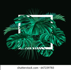 Vector Tropical  frame with palm leaves pattern.  Template ,Jungle floral ornamental background. Florals for your poster, banner flayer, advertisement design. 
