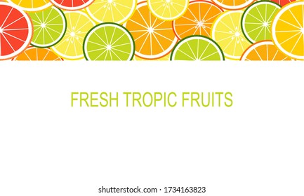 Vector tropical frame with slices fruits. 