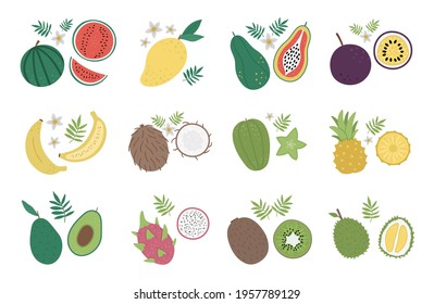 Vector tropical fruit and berries clip art. Jungle foliage illustration. Hand drawn flat exotic plants isolated on white background. Bright healthy summer food illustration.
