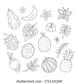 Vector tropical fruit, flowers and leaves outlines. Jungle foliage and florals black and white illustration. Hand drawn flat exotic plants isolated on white background. Summer greenery design