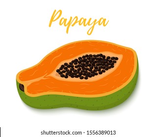 Vector tropical fruit - half of green papaya with orange flesh. Vegetarian pawpaw in cartoon flat style.