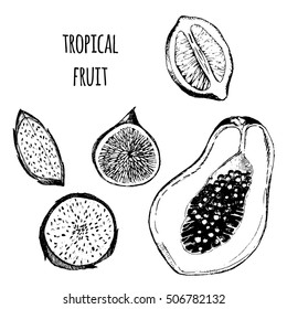 vector tropical fruit set - fig, papaya, dragon fruit, pitaya, lemon. exotic fruit flat lay drawing