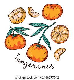 Vector tropical fruit set of tangerines. Cute hand-drawn orange fruit. While and slices isolated in the white background.