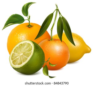 Vector tropical fruits with leaves