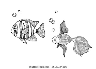 Vector tropical tropical and gold fish with bubbles. Hand painted line exotic reef. Graphic tropical clip art isolated on background. Underwater illustration. For designers, invitations, decoration, p