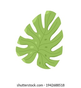 Vector tropical green monster leaf