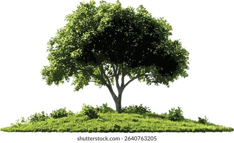 Vector tropical greenery, perennial tree, landscaped growth, grassy cutout, transparent background, exotic foliage, jungle leaves, tropical plant, botanic design, eco nature