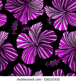 Vector of tropical hibiscus flowers in pink, violet and purple colors with watercolor effect on black background.