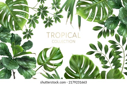 Vector tropical horizontal frame with green leaves on white background. Luxury exotic botanical design for cosmetics, wedding invitation, summer banner, spa, perfume, beauty, travel, packaging design