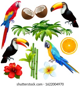 Vector Tropical Icons isolated on white background