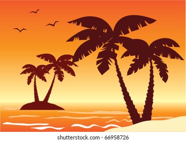 vector tropical illustration with palms, ocean and sunset