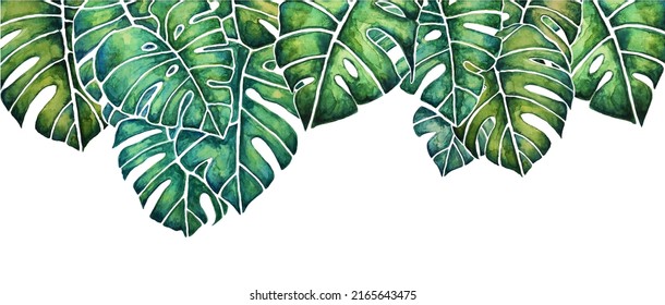 Vector tropical isolated monstera leaves - wallpaper border made with watercolor. Jungle, Tropical illustration. Jungalow Style