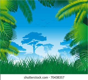 Vector tropical jungle