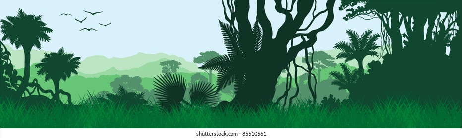 Vector Tropical Jungle