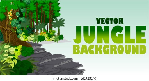 Vector tropical jungle background