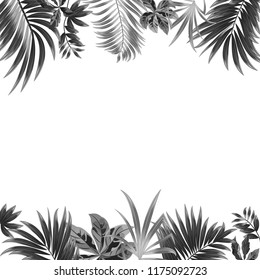 Vector tropical jungle background with palm trees and leaves on white background for wedding,quotes, Birthday and invitation cards,greeting cards, print, blogs, bridal cards.