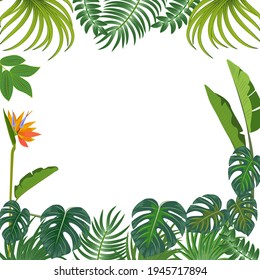 Vector tropical jungle background with palm trees and leaves.
