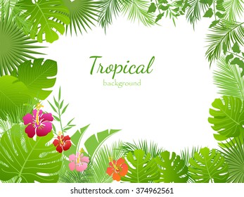 Vector tropical jungle background with palm trees and leaves.