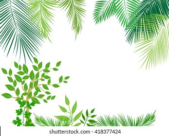 Vector tropical jungle background with palm trees and leaves.