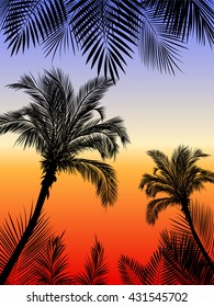 Vector tropical jungle background with palm trees and leaves.