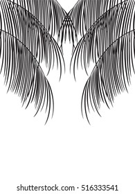 Vector tropical jungle background with palm trees and leaves on white background.