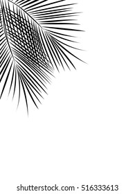 Vector tropical jungle background with palm trees and leaves on white background. Minimalism art. Modern decor.