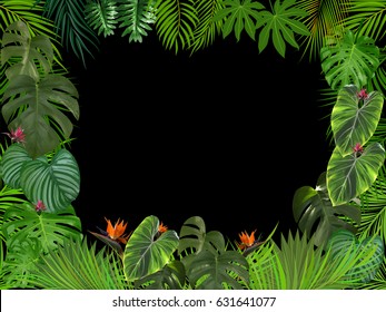 Vector tropical jungle background with palm trees and leaves.