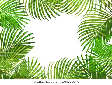 Vector tropical jungle background with palm trees and leaves.