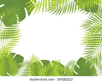 Vector tropical jungle background with trees and leaves.