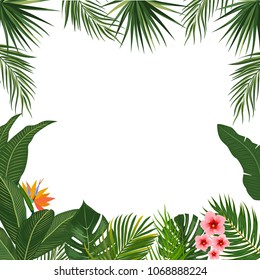 Vector Tropical Jungle Background Palm Trees Stock Vector (Royalty Free ...