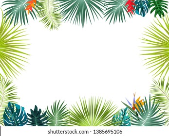 Vector tropical jungle banner, frame with palm trees, flowers and leaves on white background for wedding,quotes, Birthday and invitation cards,greeting cards, print, blogs, bridal cards.