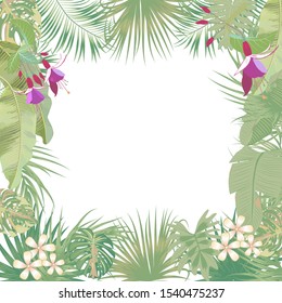 Vector tropical jungle banner, frame with palm trees, flowers and leaves on white background for wedding,quotes, Birthday and invitation cards,greeting cards, print, blogs, bridal cards.
