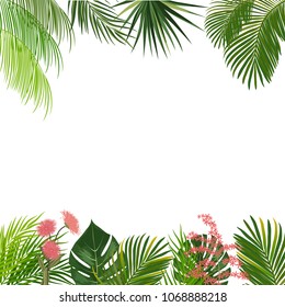 Vector tropical jungle frame with palm trees and flowers