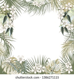 Vector tropical jungle frame with palm trees and leaves in olive green colors on white background for wedding,quotes, Birthday and invitation cards,greeting cards, print, blogs, bridal cards.