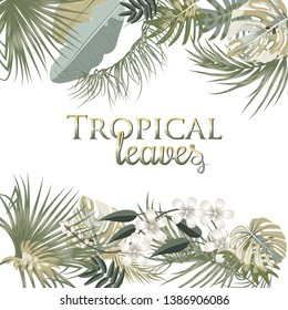 Vector tropical jungle frame with palm trees and leaves in olive green colors on white background for wedding,quotes, Birthday and invitation and greeting cards.