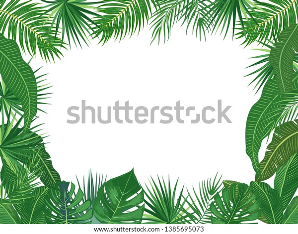 Vector Tropical Jungle Frame Palm Trees Backgrounds Textures