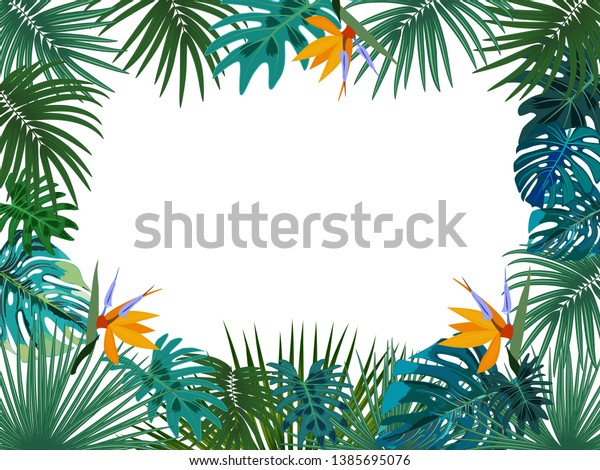 Vector Tropical Jungle Frame Palm Trees Stock Vector Royalty Free